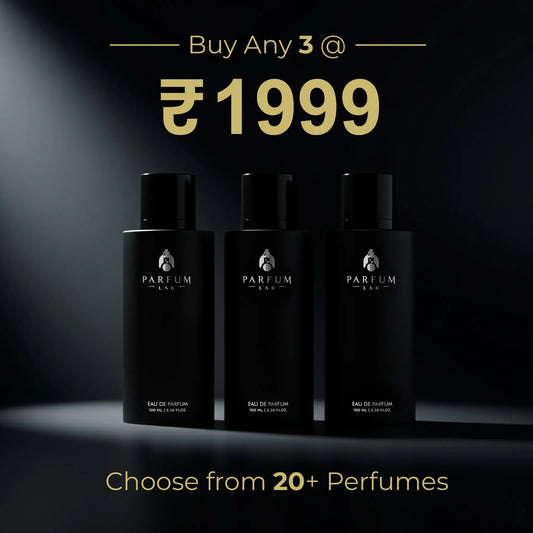Buy 3 100ML Perfumes