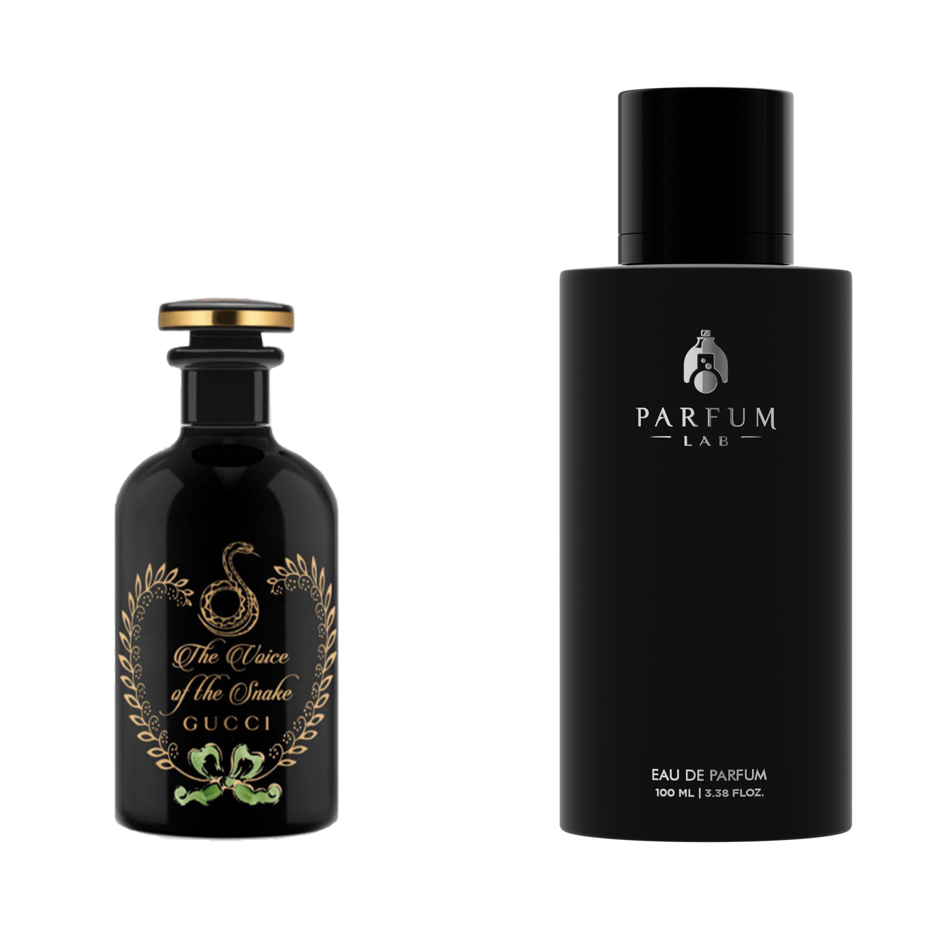 Voice of the Snake – - Main Image